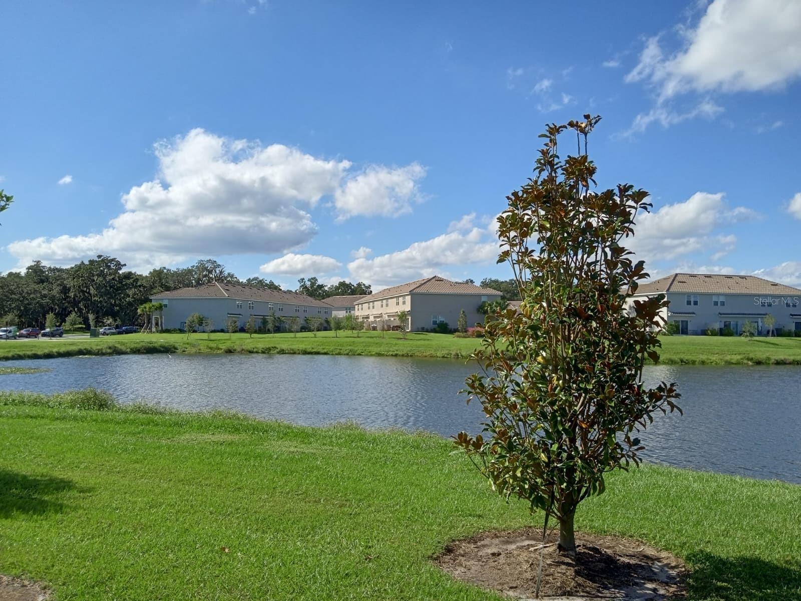 3604 Landing Net Dr Property Photo 5