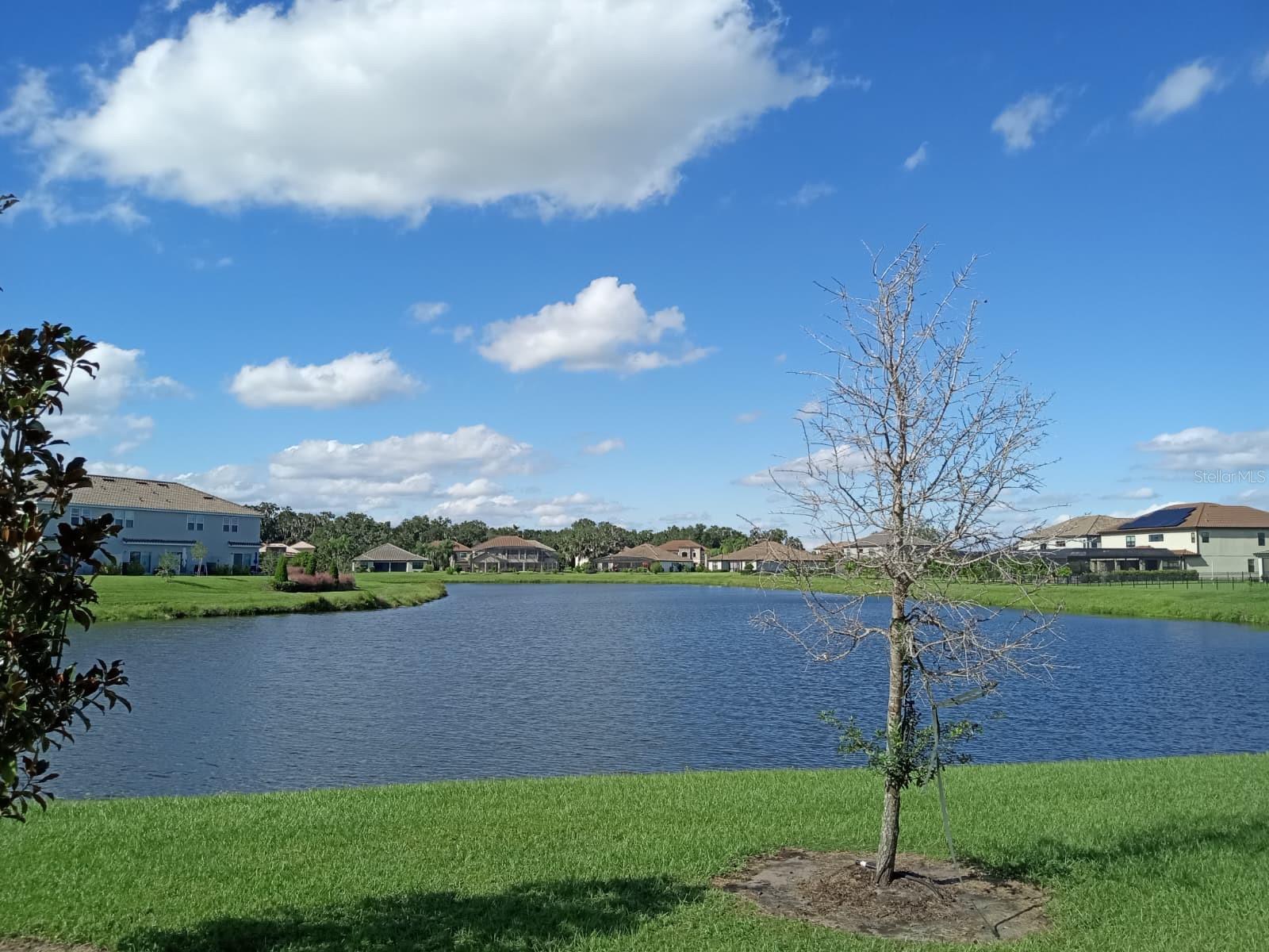 3604 Landing Net Dr Property Photo 6
