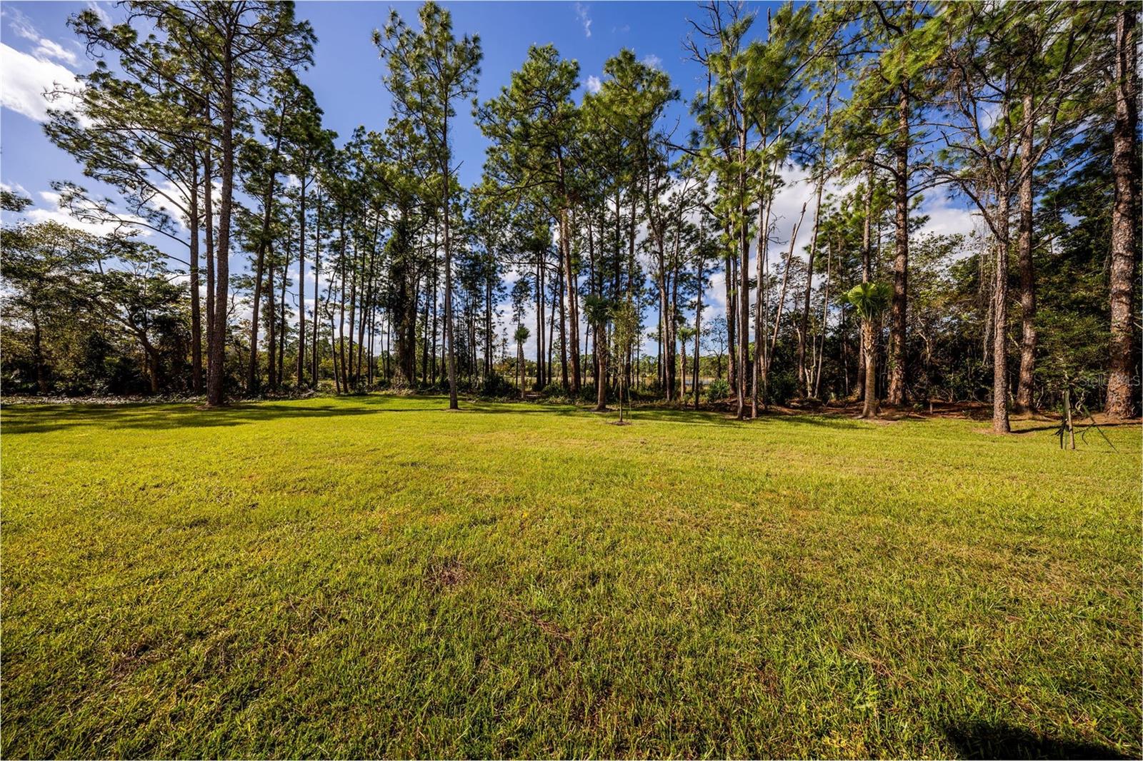 310 Mitnik Dr Property Photo 45
