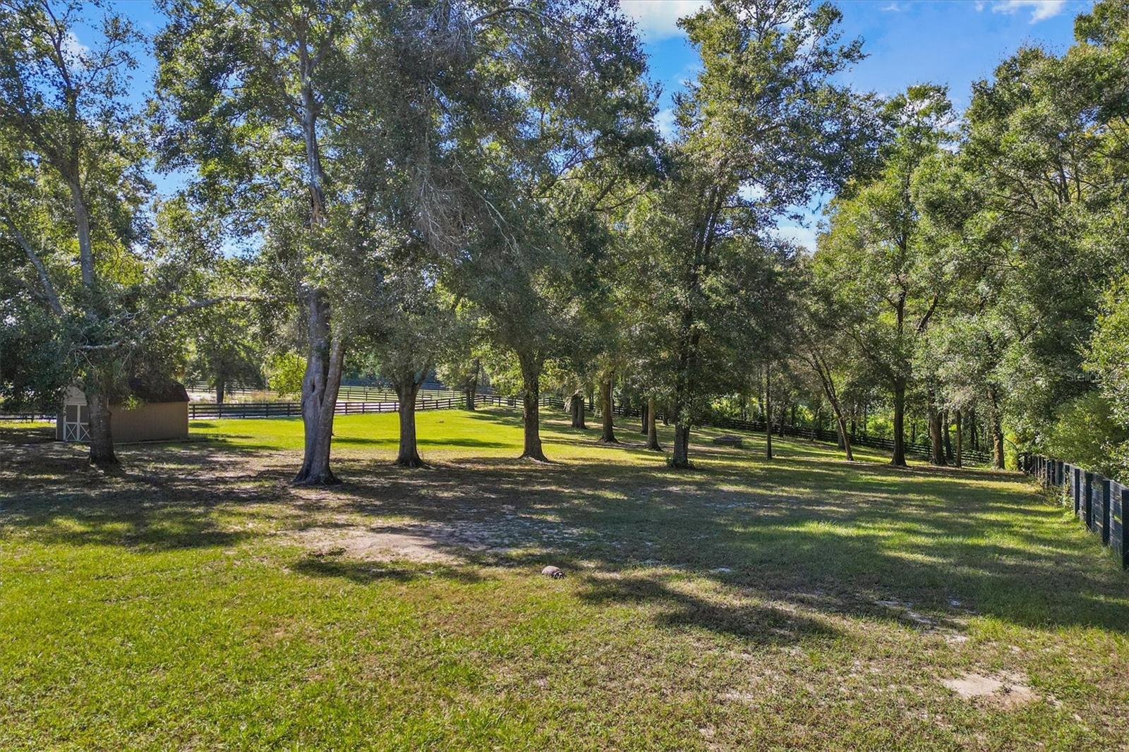 35603 Seneca Reserve Dr Property Photo 59