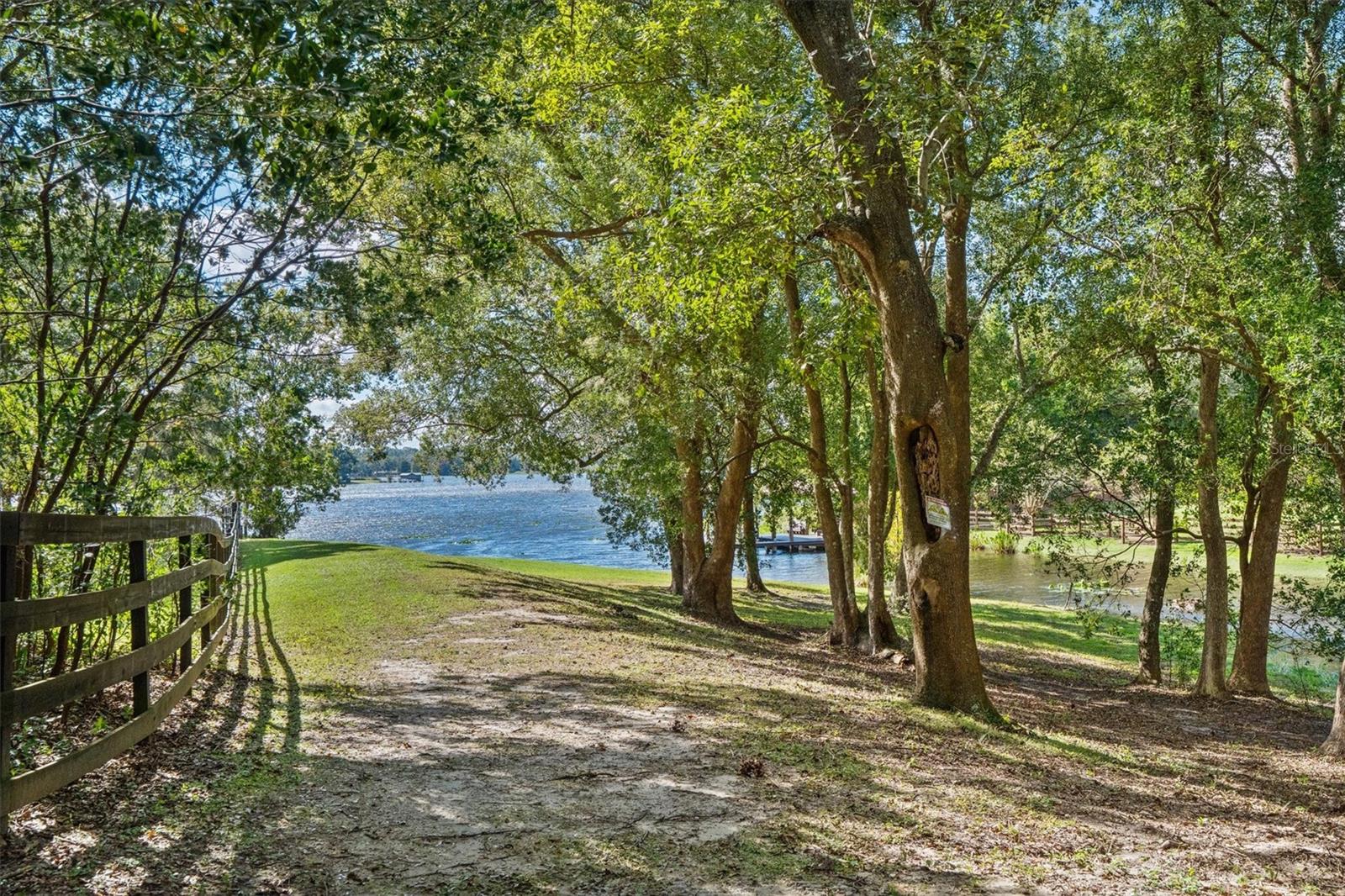 35603 Seneca Reserve Dr Property Photo 73