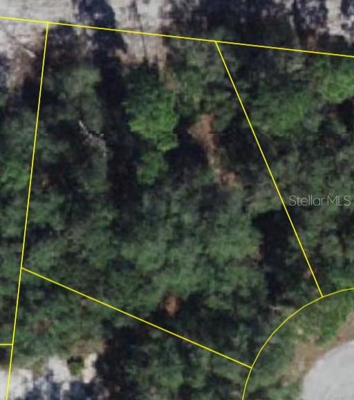 1206 Vernon Ln Property Photo 3