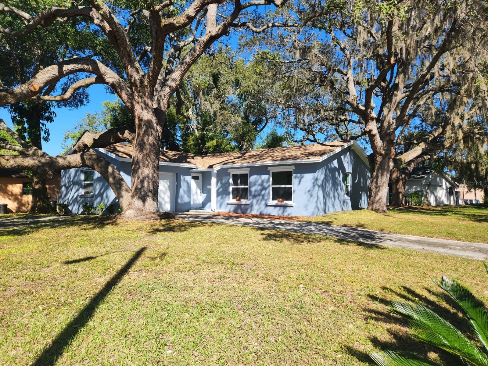 800 Diane Cir Property Photo 2