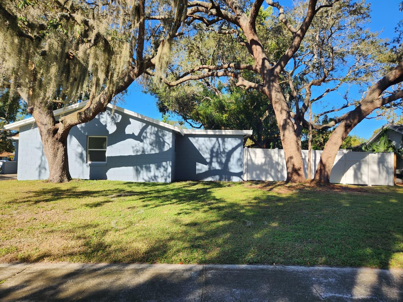 800 Diane Cir Property Photo 4
