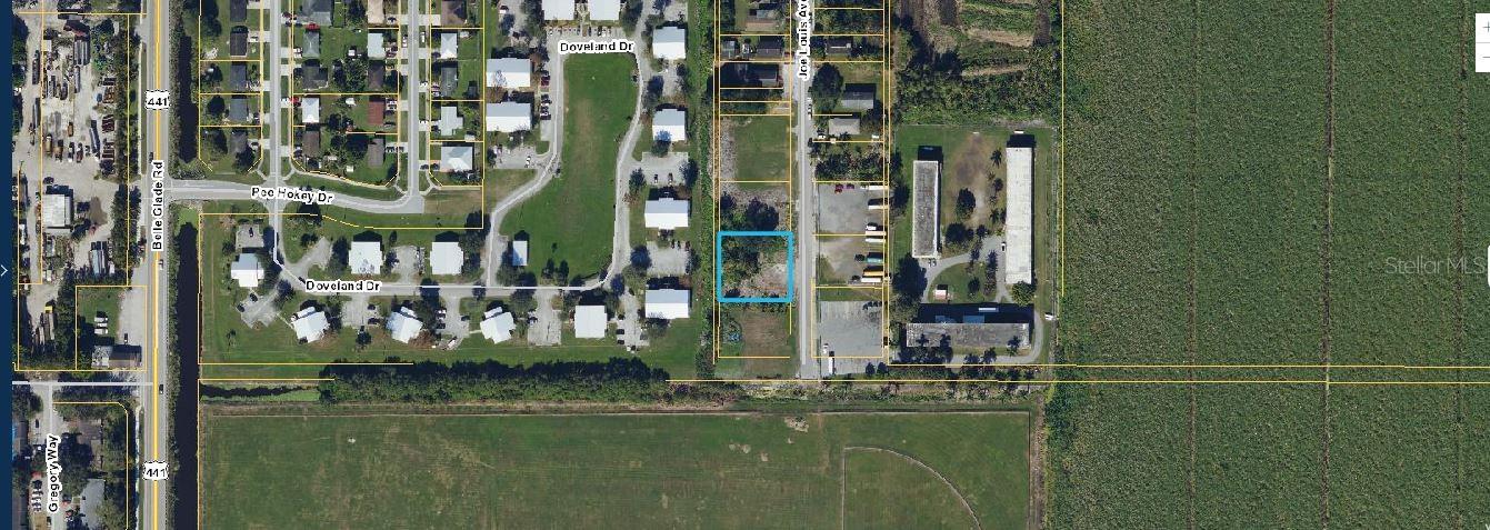 875 Joe Louis Ave Property Photo 4