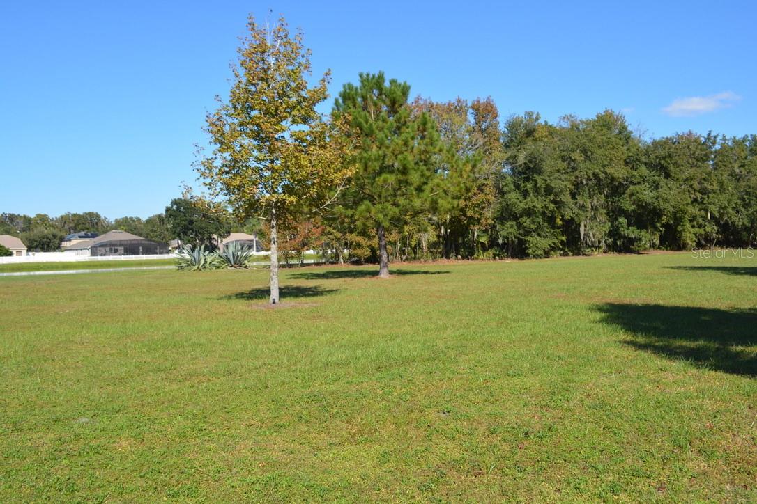 0 Hester Avenue Ave Property Photo 1