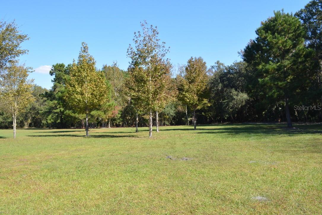 0 Hester Avenue Ave Property Photo 3