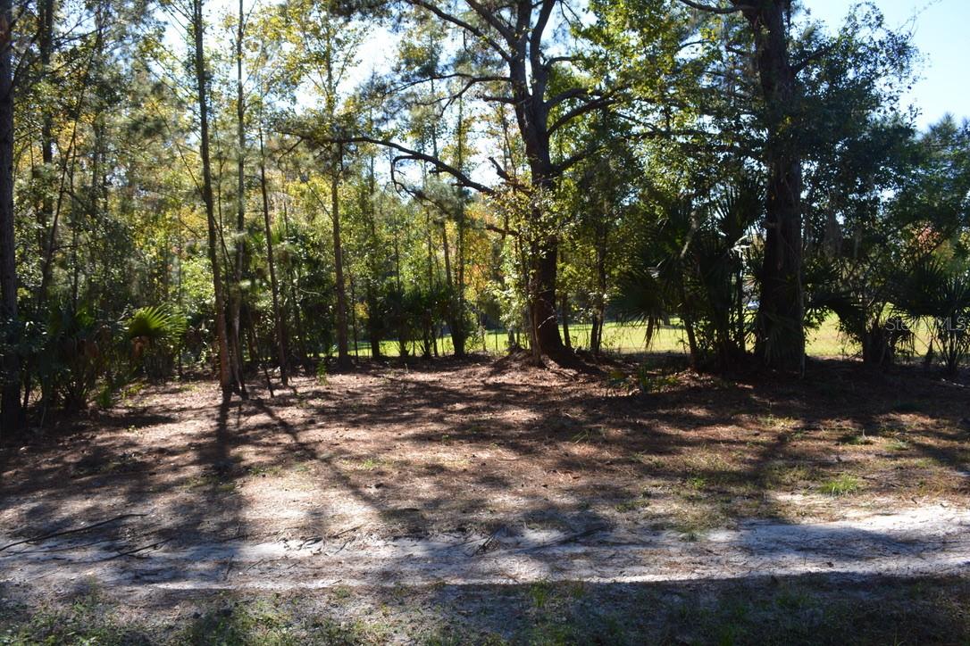 0 Hester Avenue Ave Property Photo 7