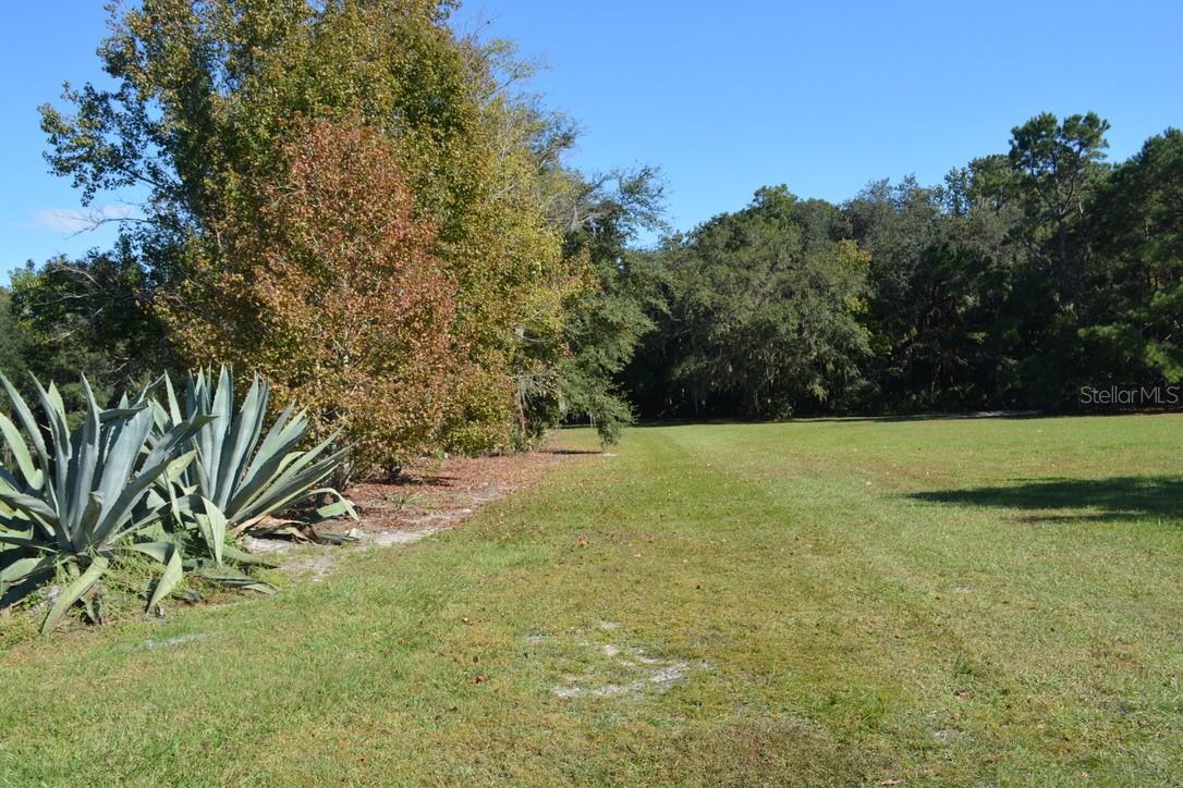 0 Hester Avenue Ave Property Photo 33