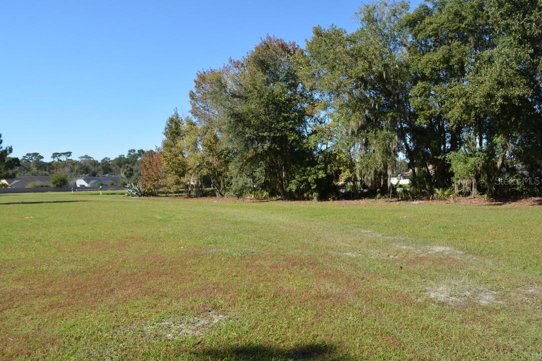 0 Hester Avenue Ave Property Photo 41