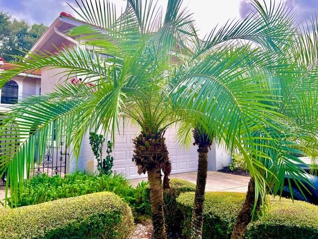 8214 Ambrose Cove Way Property Photo 5