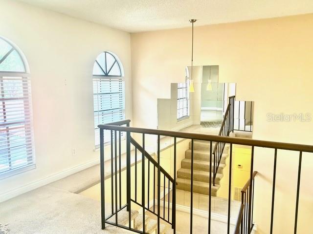 8214 Ambrose Cove Way Property Photo 9