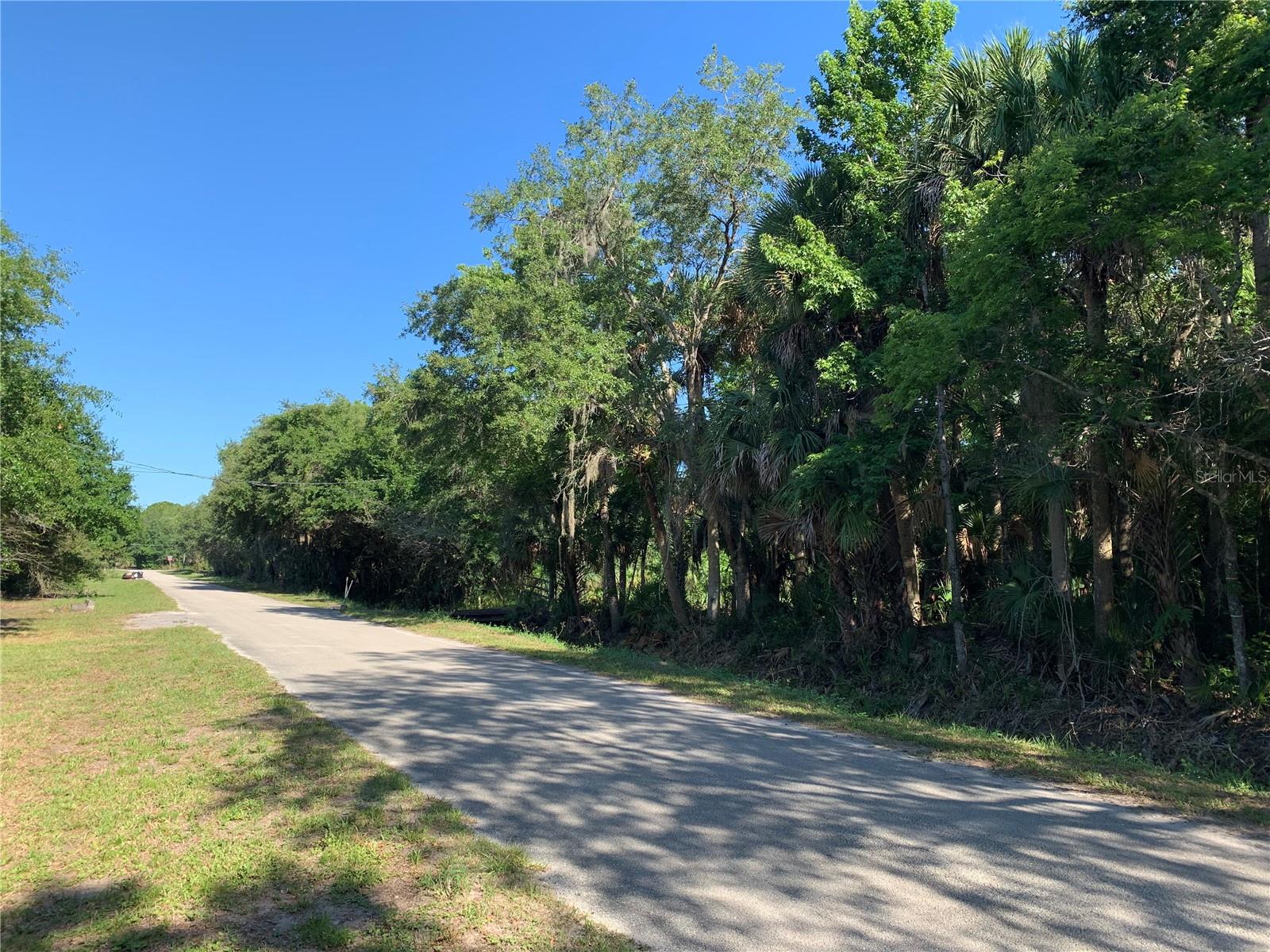 1310 Palm Way Property Photo 1
