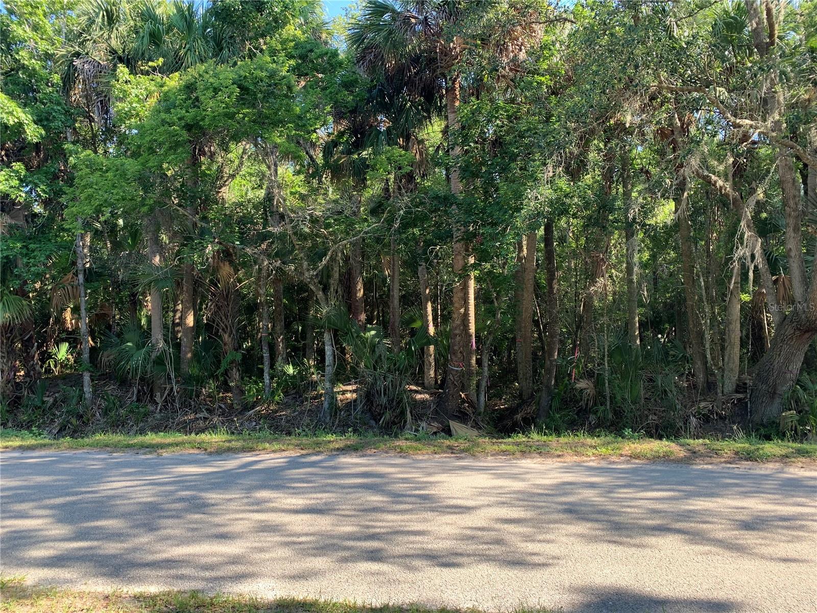 1310 Palm Way Property Photo 3