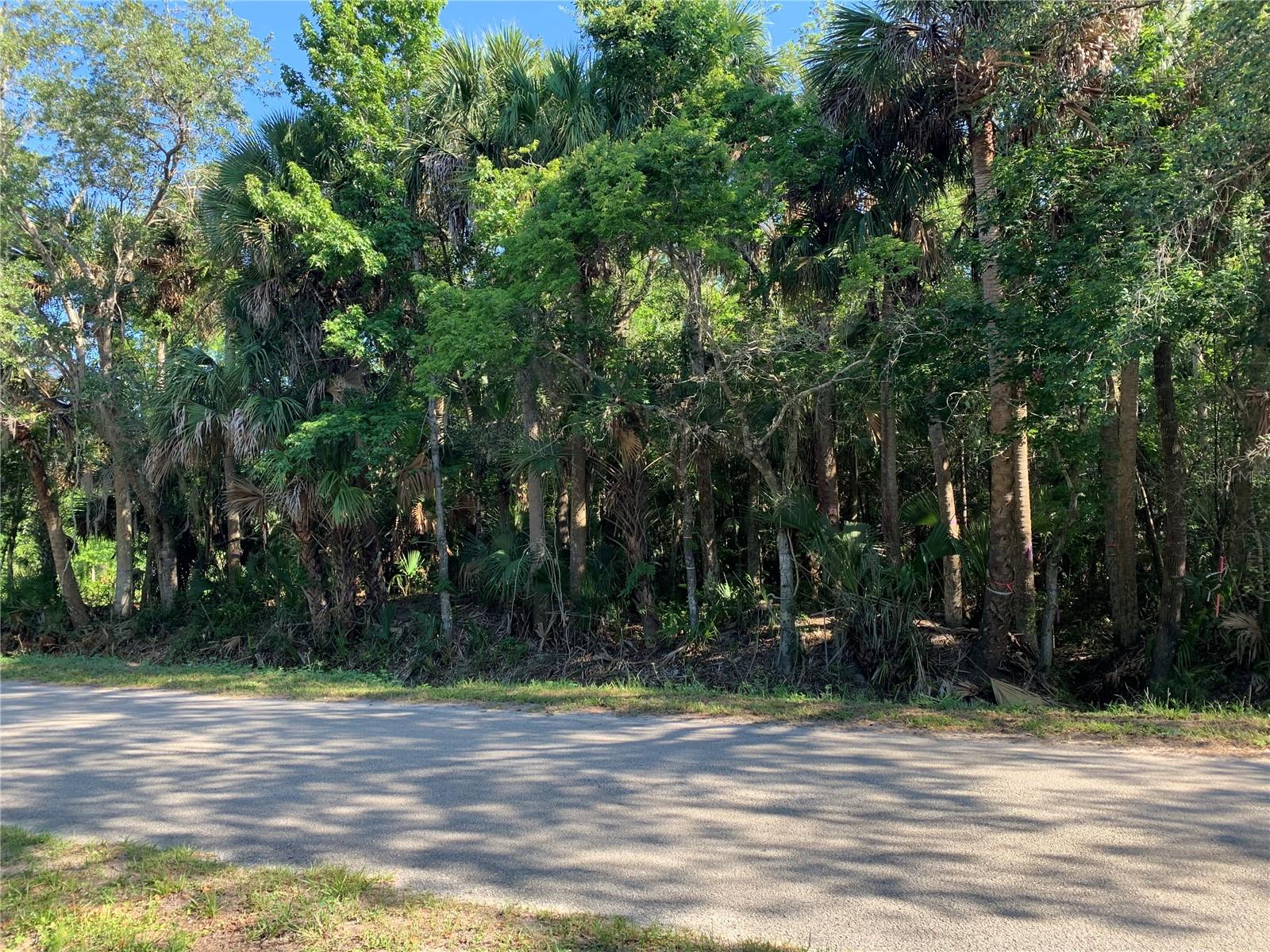 1310 Palm Way Property Photo 4