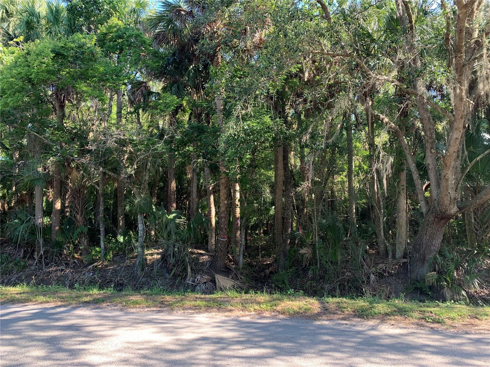 1310 Palm Way Property Photo 6