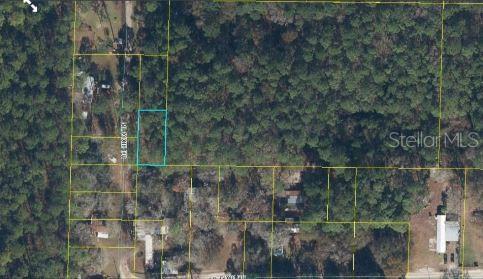 17847 Lil Dixie Dr Property Photo 4