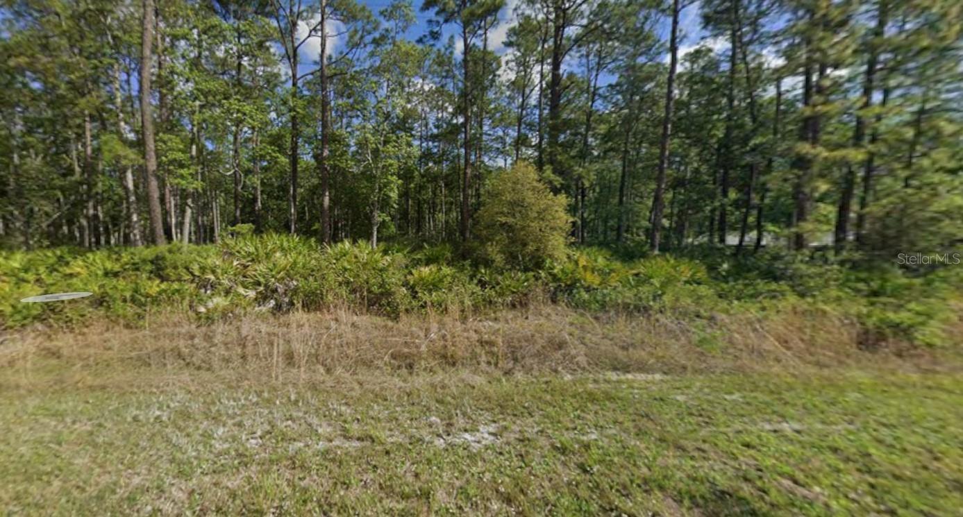 608 HICKORY NUT TRL Property Photo 1