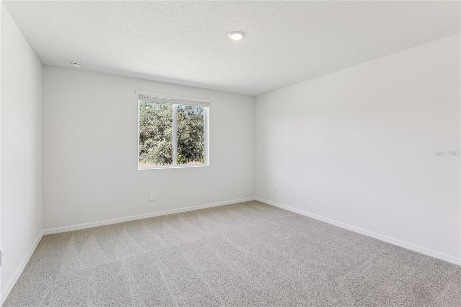7177 Ray Creek Dr Property Photo 27
