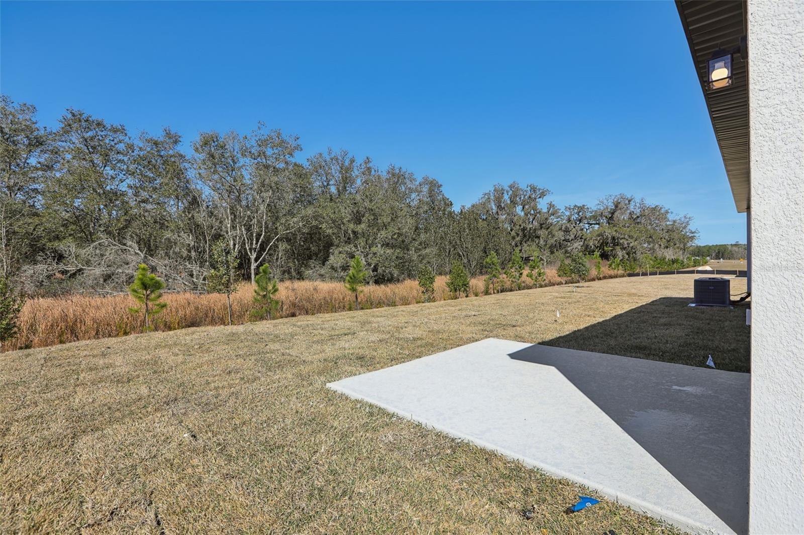 7177 Ray Creek Dr Property Photo 33