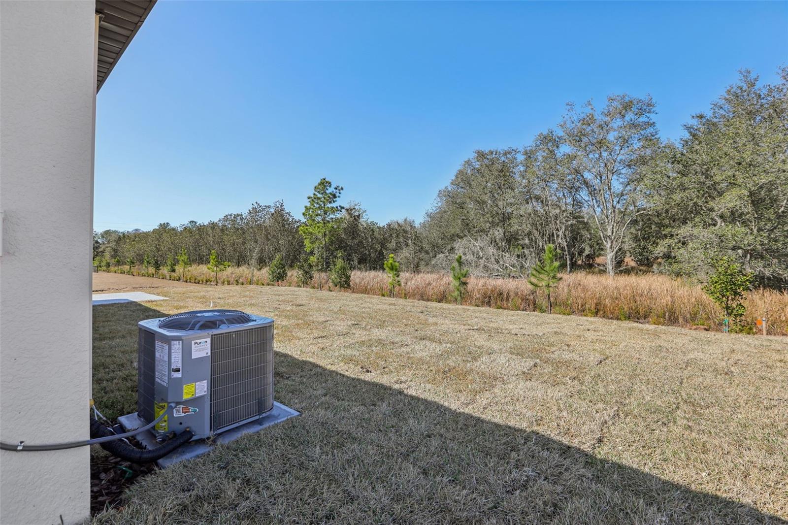 7177 Ray Creek Dr Property Photo 37
