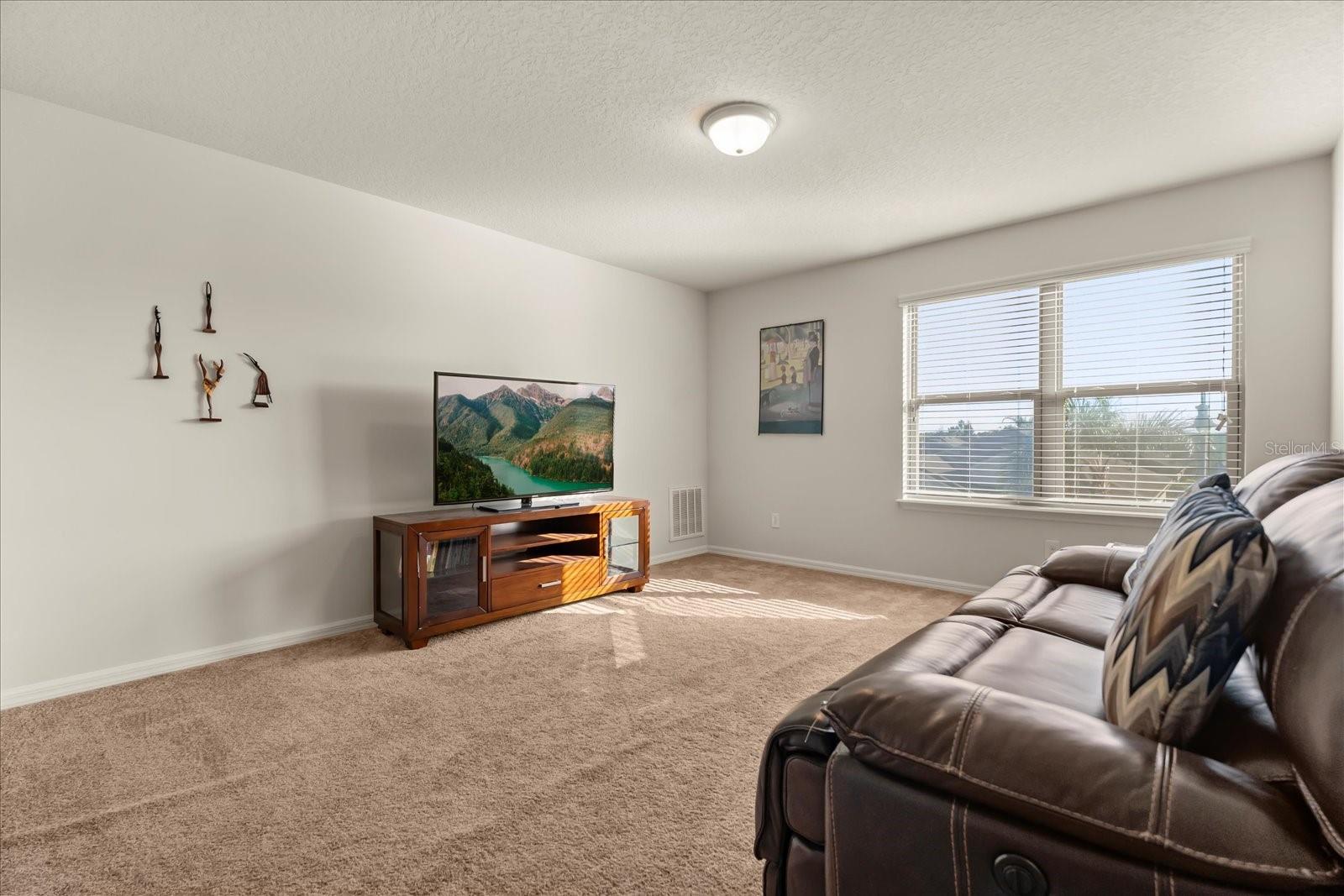 540 Pamplona Pl Property Photo 17