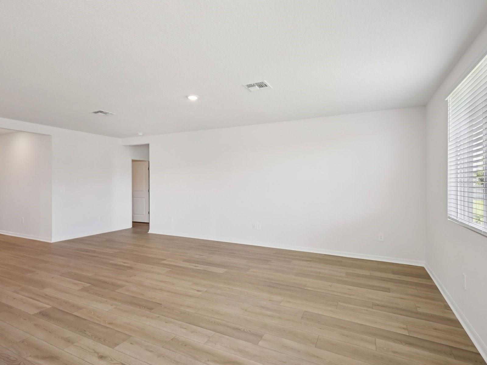 10425 Abundance Grove Way Property Photo 4