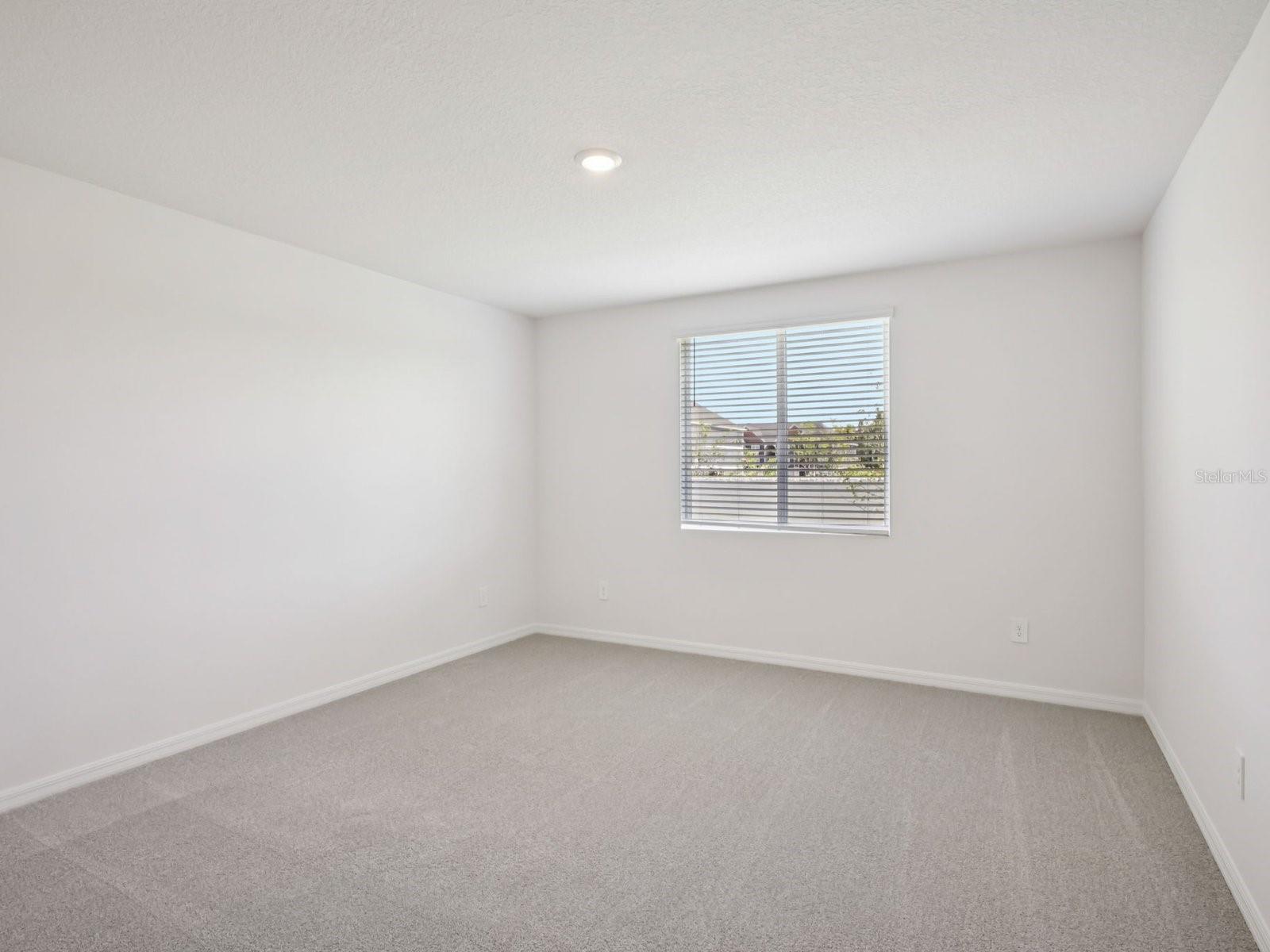 10425 Abundance Grove Way Property Photo 14