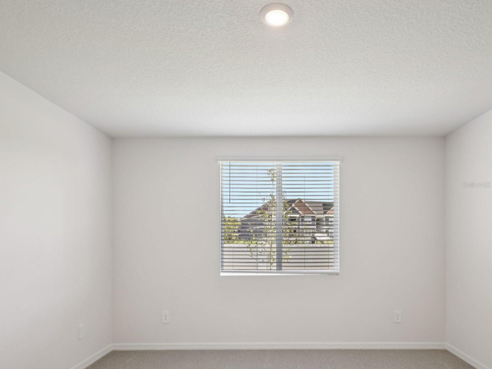 10425 Abundance Grove Way Property Photo 15