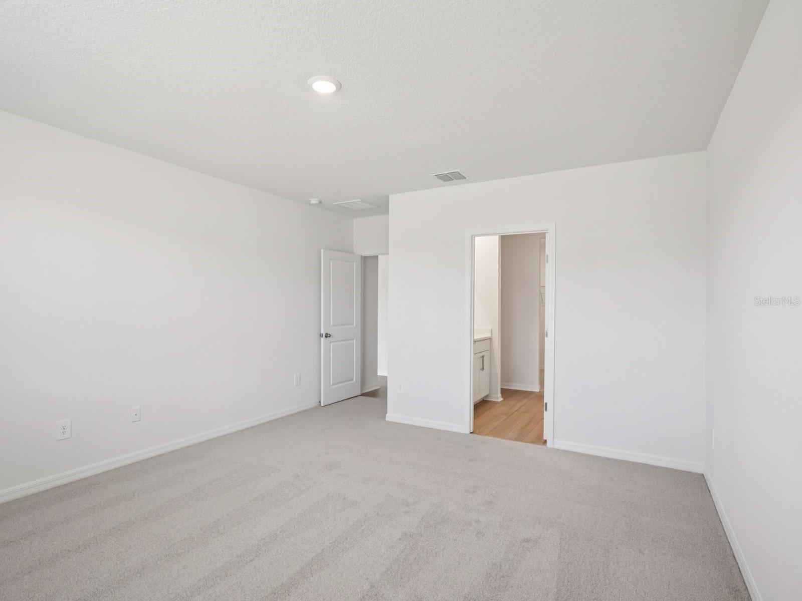 10425 Abundance Grove Way Property Photo 16