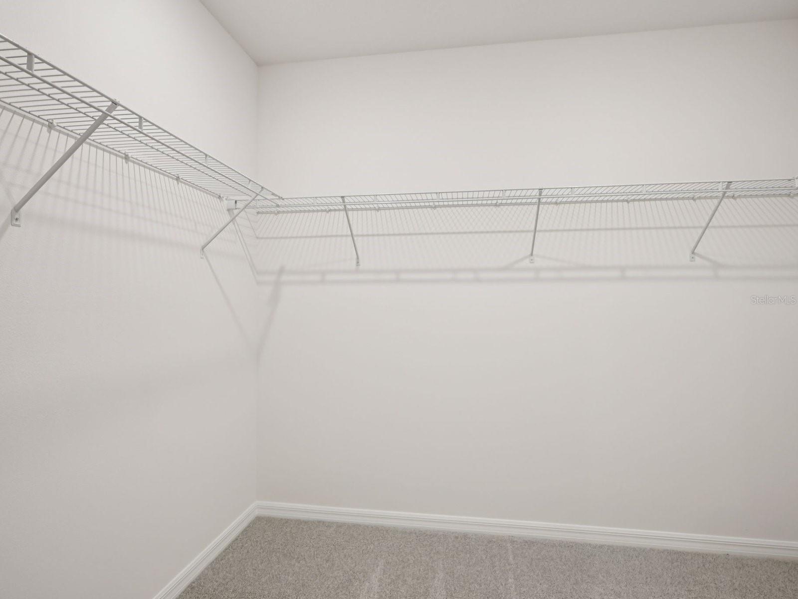 10425 Abundance Grove Way Property Photo 17