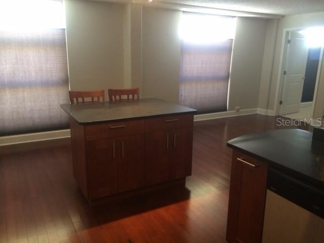 151 E Washington St #209 Property Photo 11