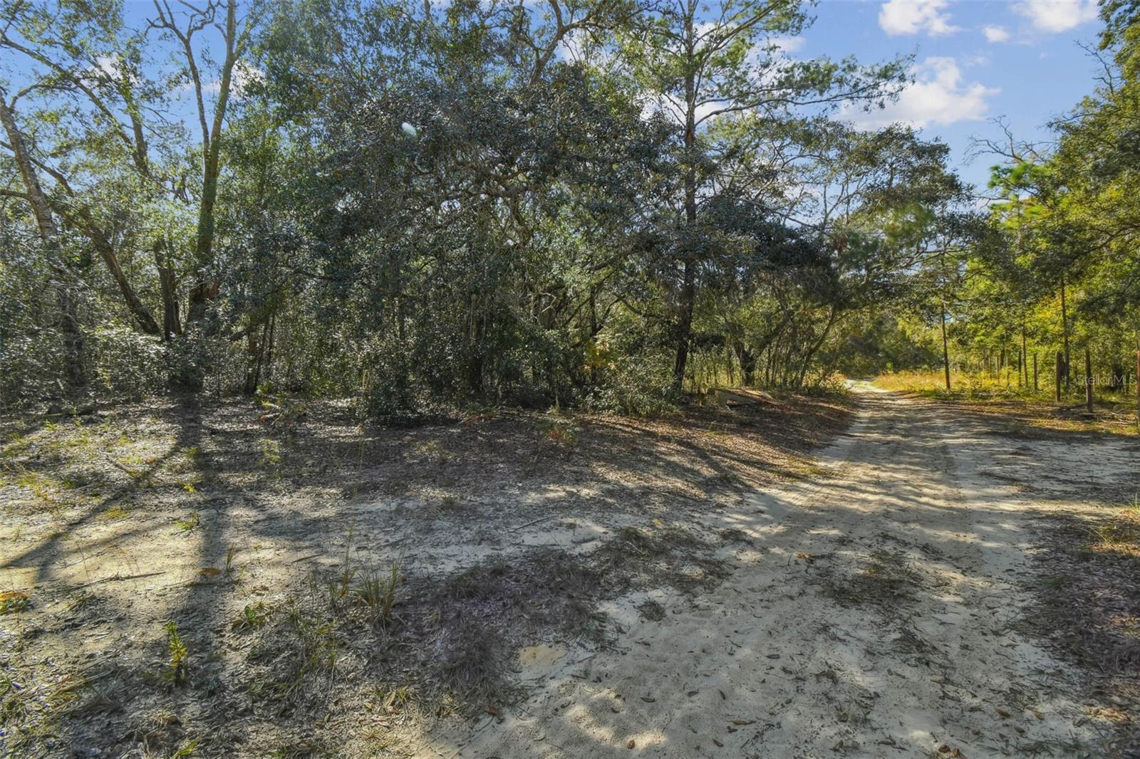 2903 Tyler St Property Photo 5