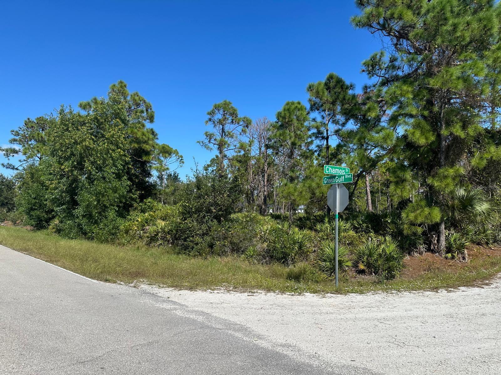 27028 Chamois Dr Property Photo 2