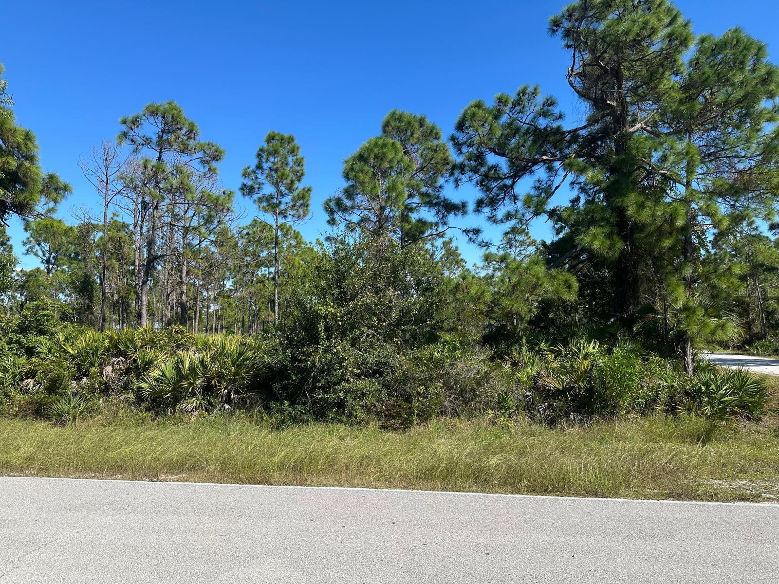 27028 Chamois Dr Property Photo 3