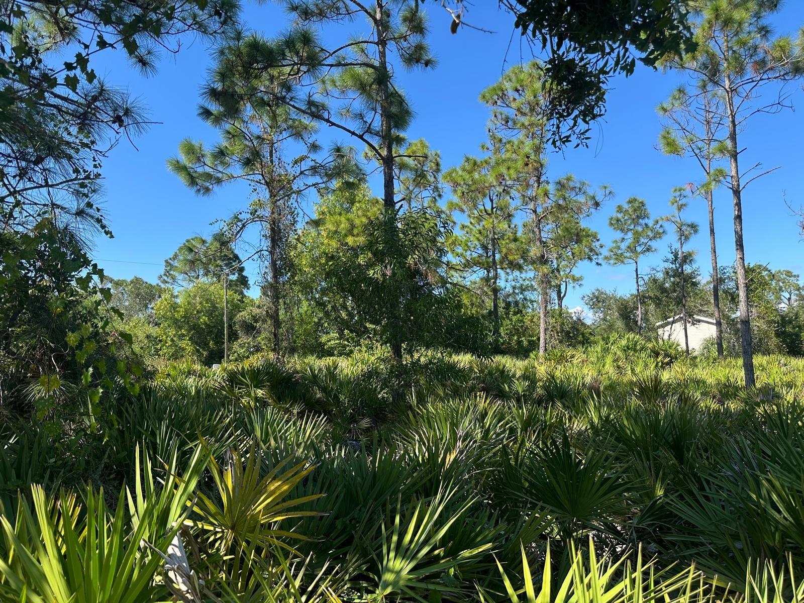27028 Chamois Dr Property Photo 4