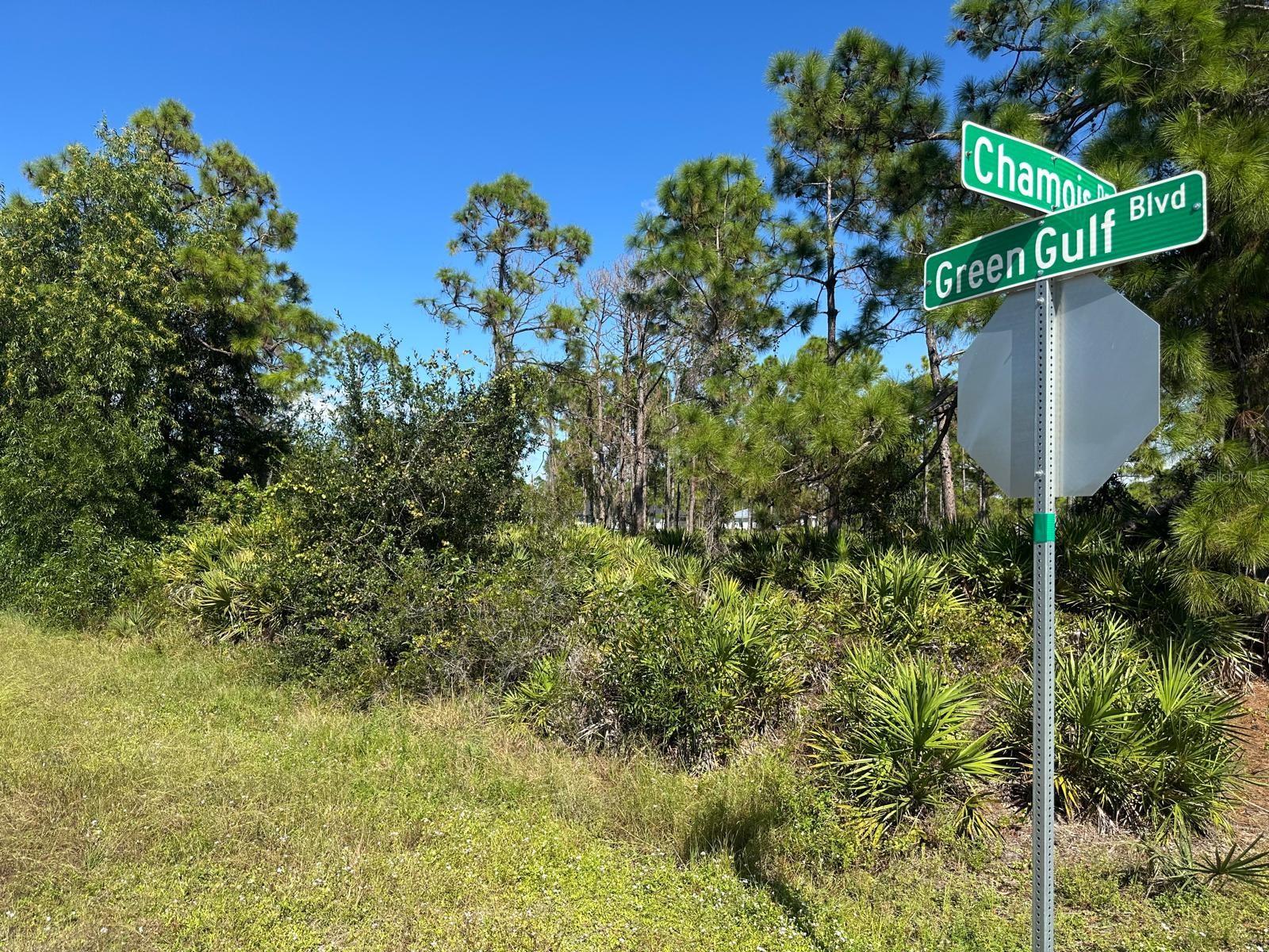 27028 Chamois Dr Property Photo 5