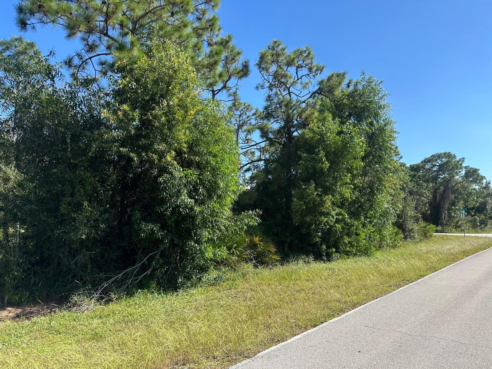 27028 Chamois Dr Property Photo 6