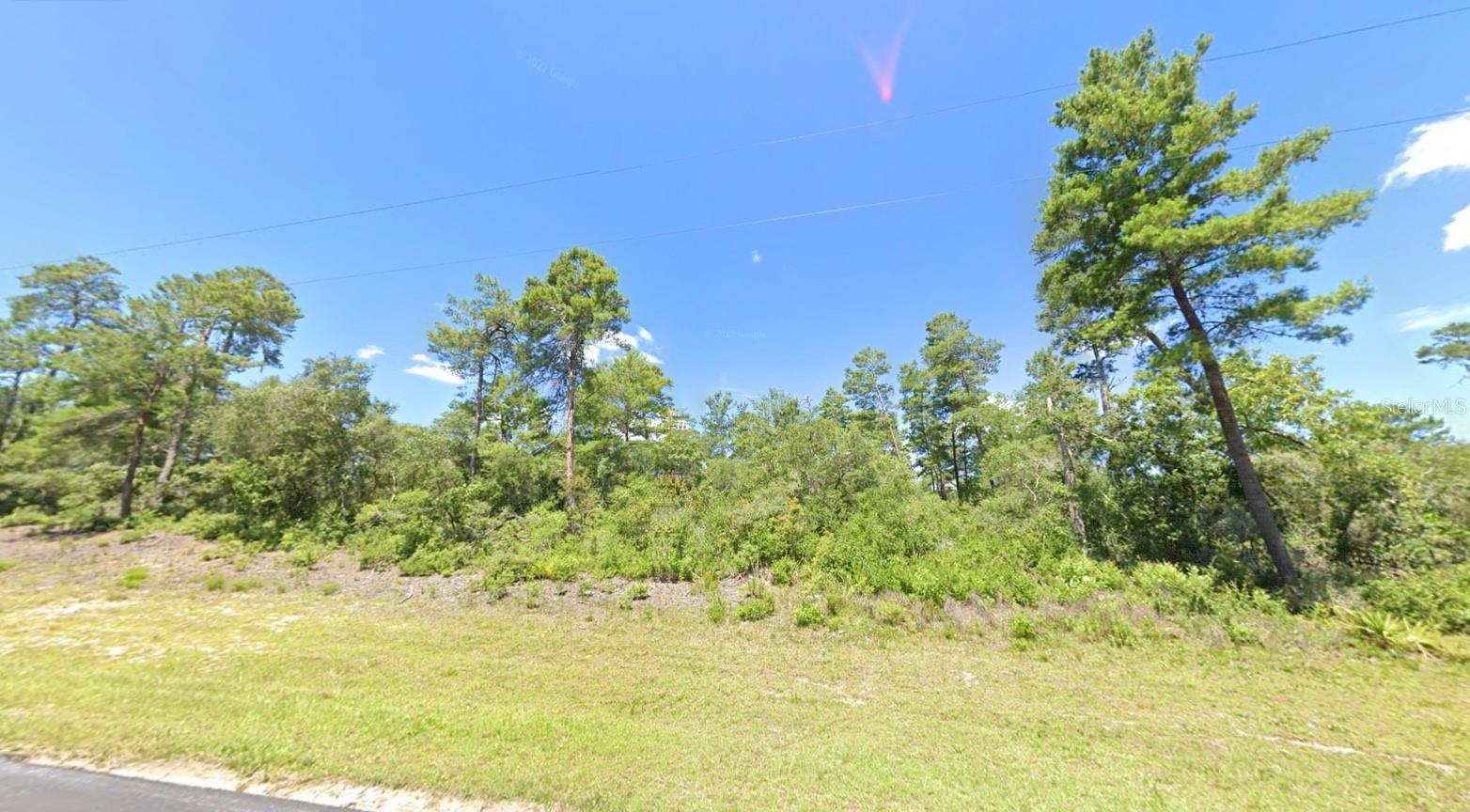 Marion Oak Property Photo 3