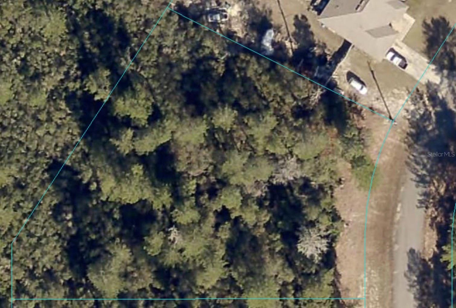 Marion Oak Property Photo 4