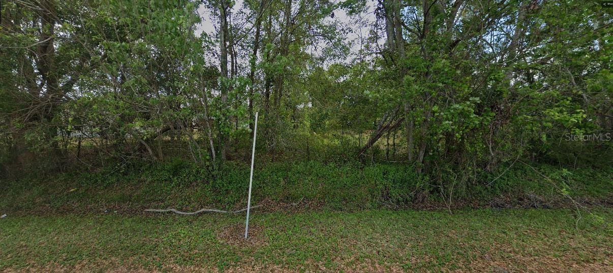 1707 Dill Rd Property Photo 3