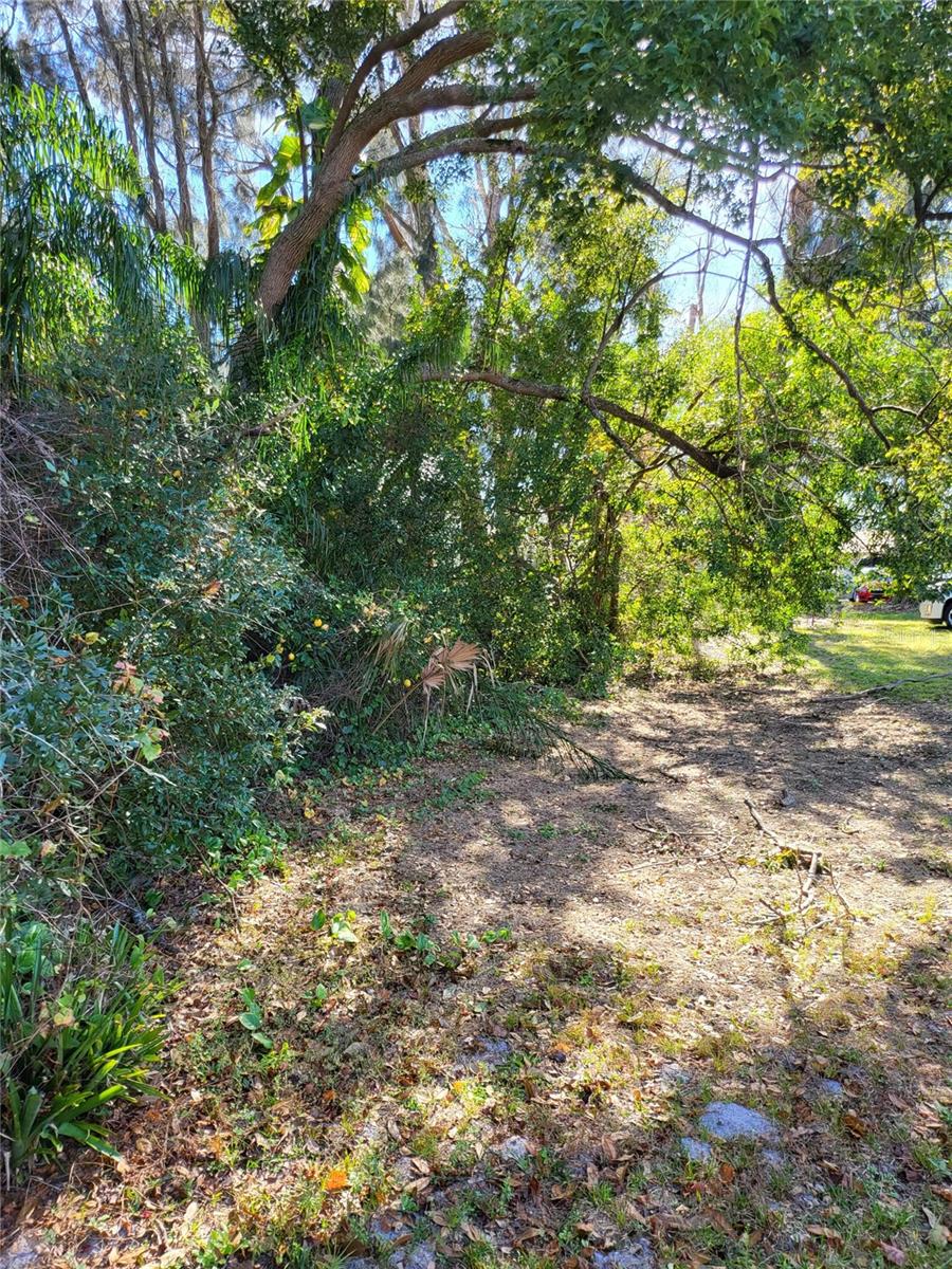 2131 Coachman Rd Ne Property Photo 13