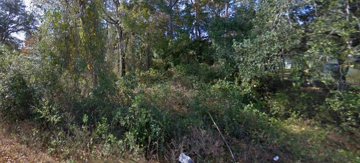 Se 173rd Ct Property Photo 1