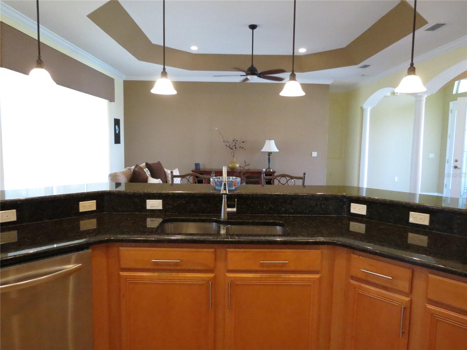 4048 Phoenician Way Property Photo 53
