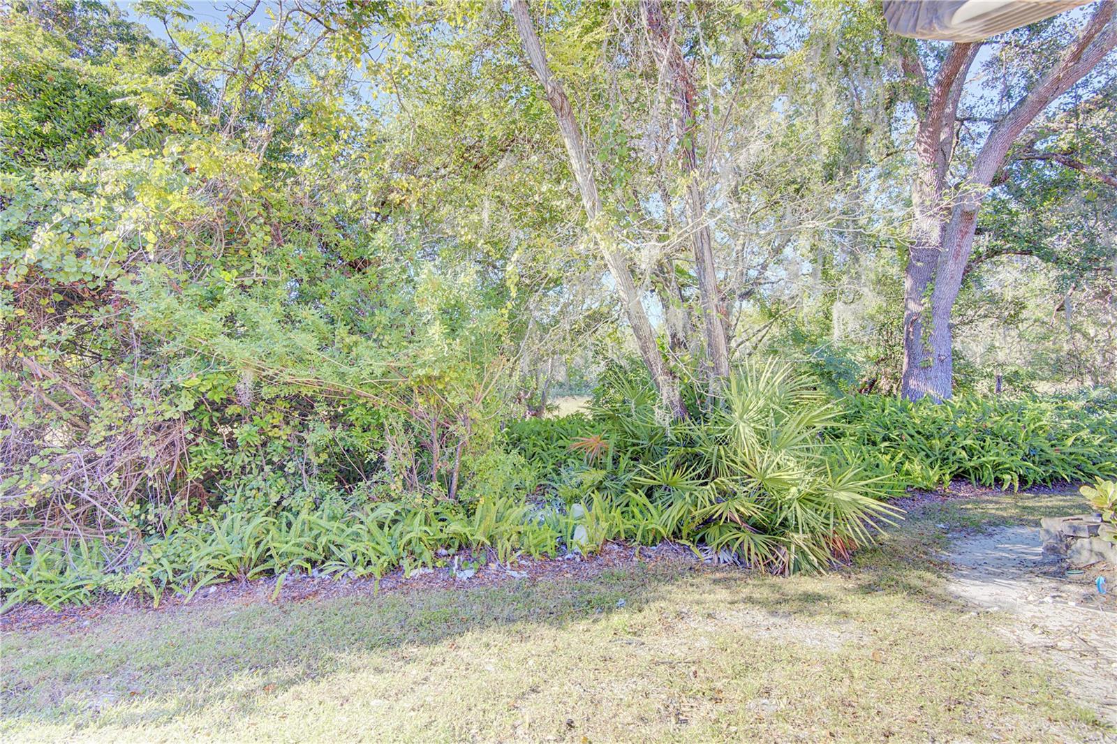 506 Club Dr Property Photo 21