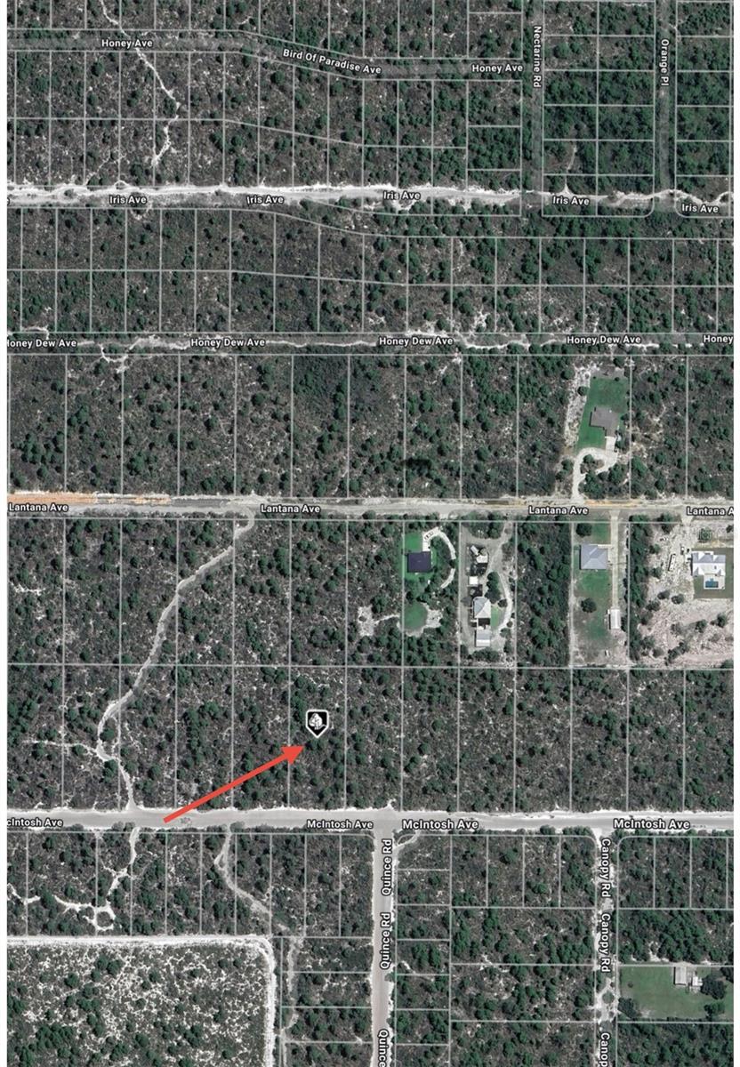 2132 Macintosh Ave Property Photo 5