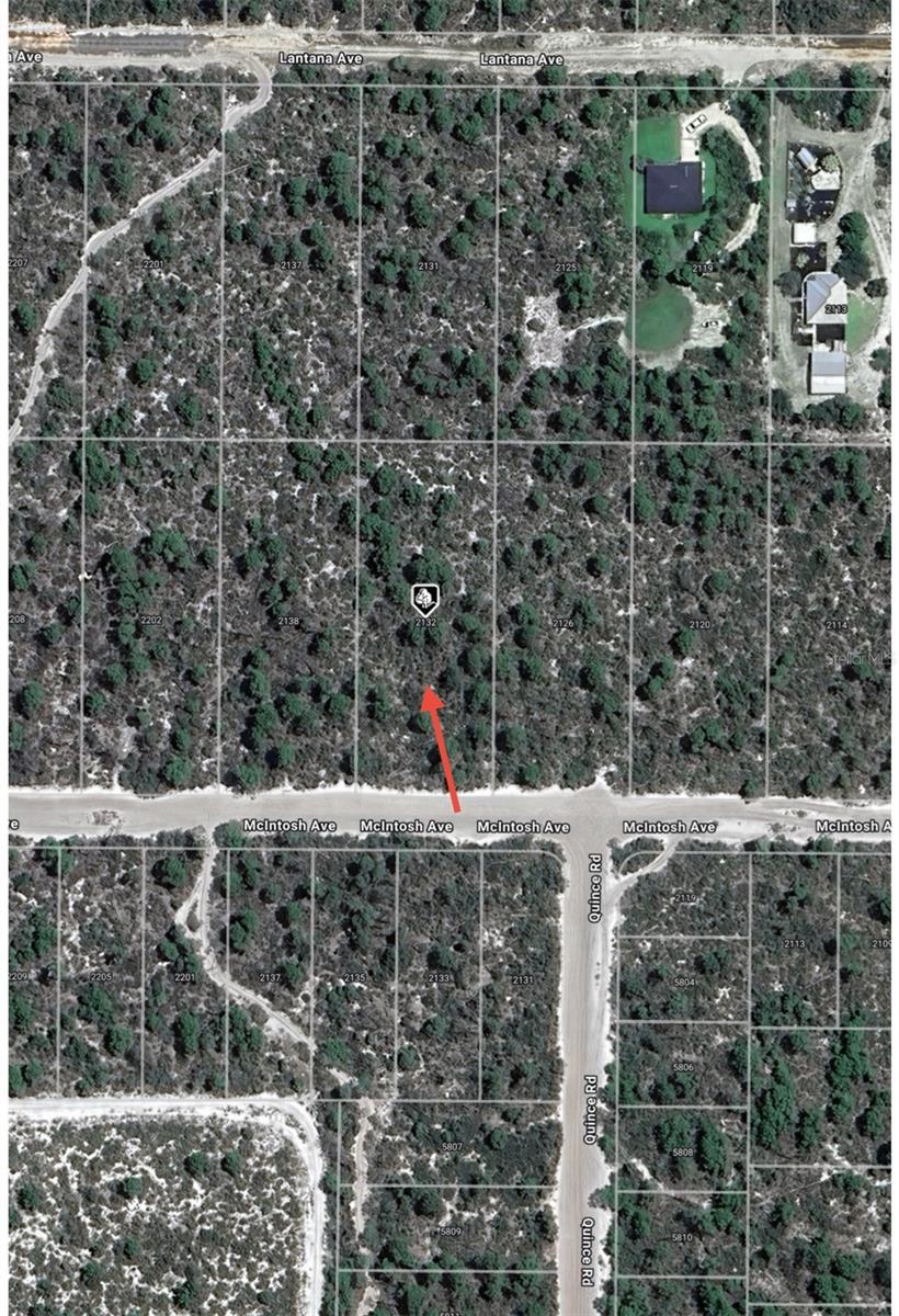 2132 Macintosh Ave Property Photo 7