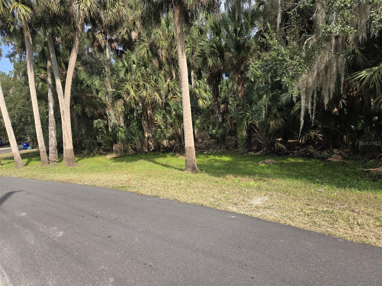 447 Warrior Trl Property Photo 1