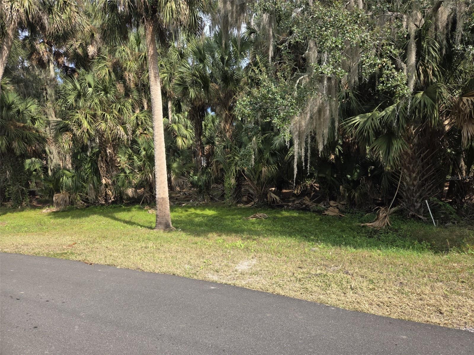 447 Warrior Trl Property Photo 2