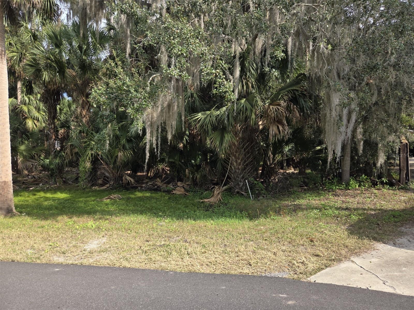447 Warrior Trl Property Photo 7